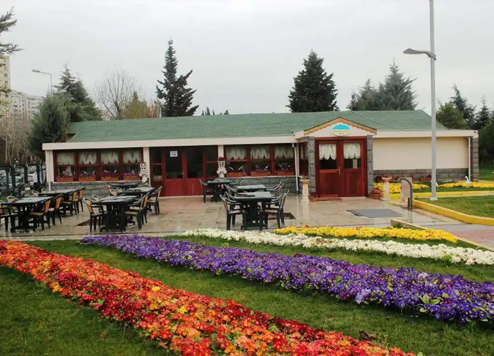 Local Residence